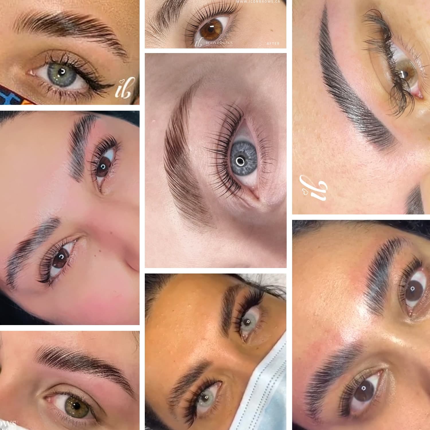 IconBrows Service Main Image - gorgeous brow lamination