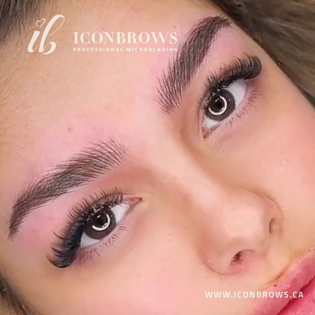 IconBrows Service Main Image Nano Brows Best Nano Brows in Toronto