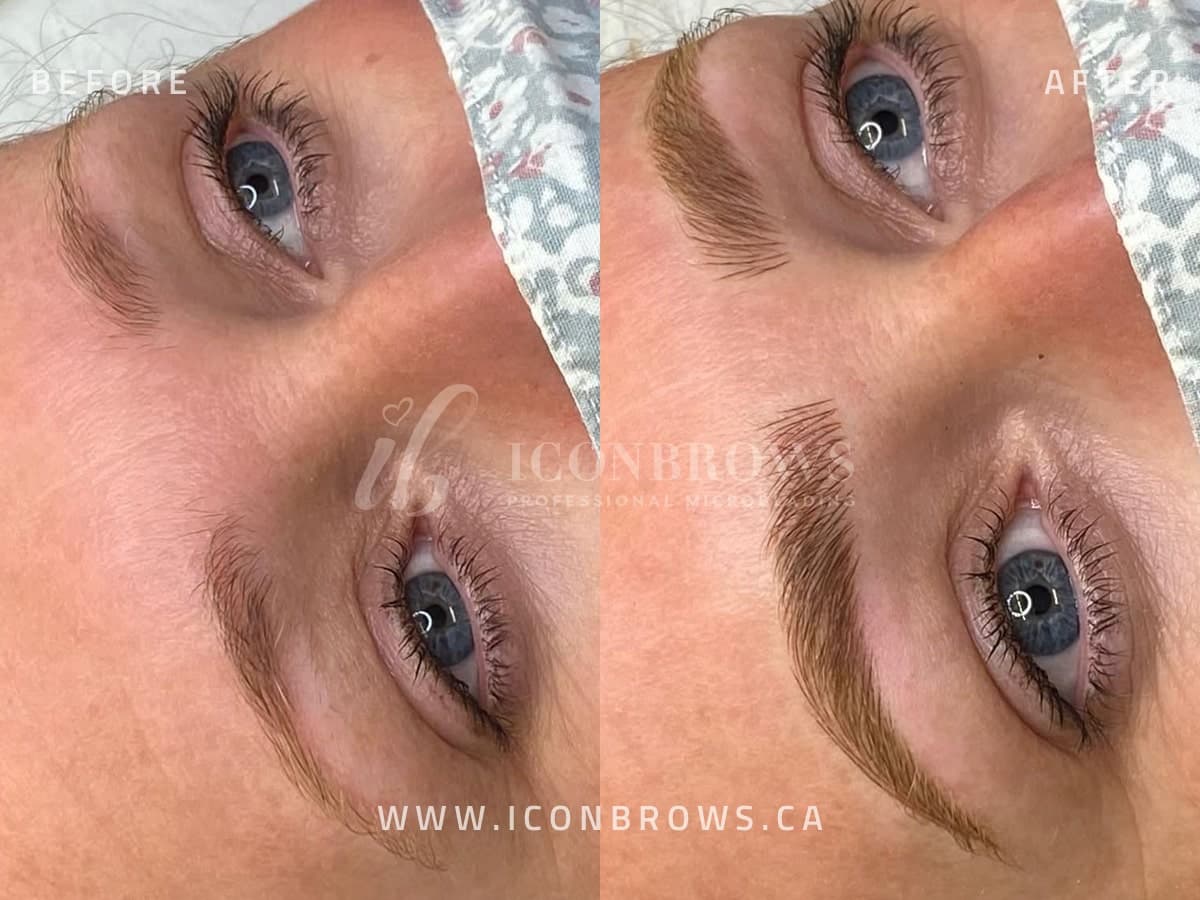 Nano Brows in Etobicoke Iconbrows Torontos Top Brows Beautiful Brows.