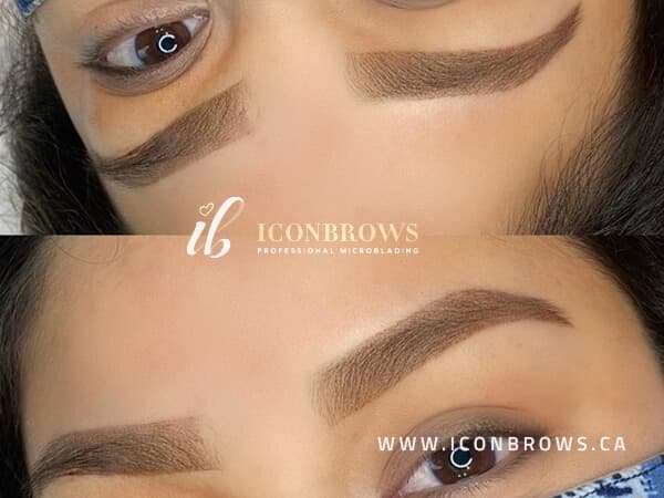 Eyebrow shading in Etobicoke Iconbrows Torontos Top Brows Recovery Correction On Darker Skintypes.