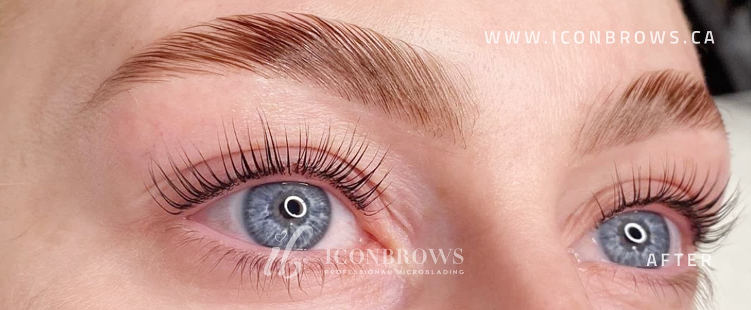 Female eyes after lash lift by Iconbrows in Toronto.