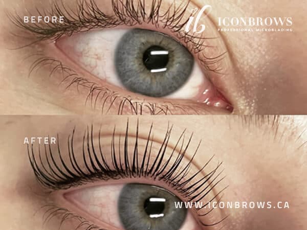 Humber Bay Shores lash lift and tint Iconbrows beauty service.