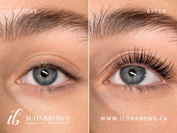 Top lash lift and lash tint in Toronto.