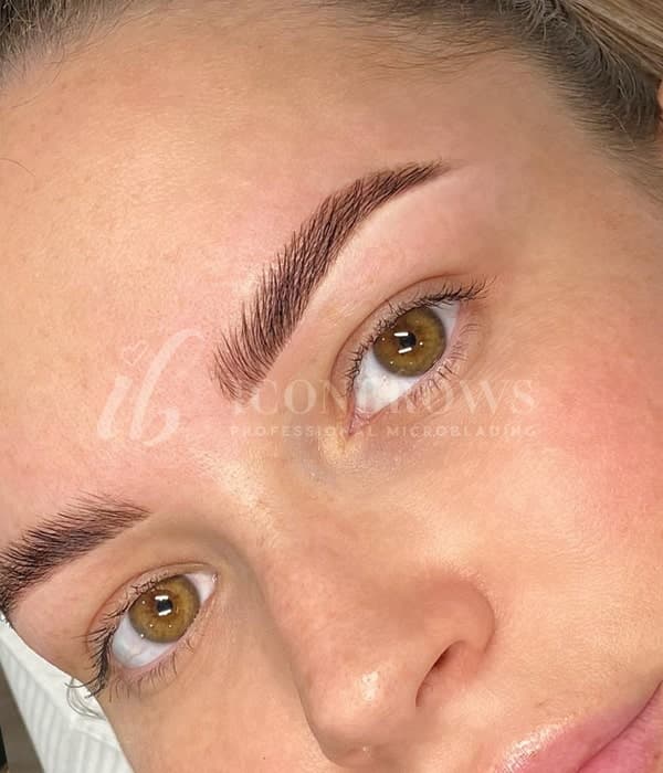 Iconbrows brow, lash and PMU training in Toronto, photo 2