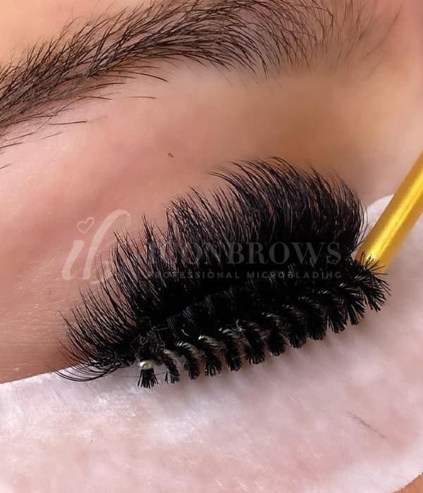 Iconbrows brow, lash and PMU training in Toronto, photo 5