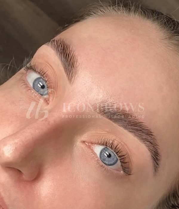 Iconbrows brow, lash and PMU training in Toronto, photo 8