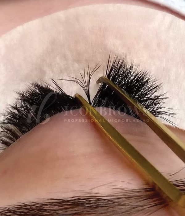 Iconbrows brow, lash and PMU training in Toronto, photo 9