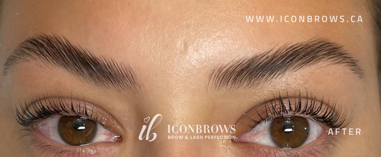 Brows after brow lamination by Iconbrows in Toronto.