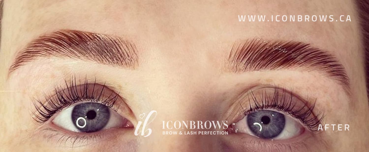 Brows after brow lamination and tint by Iconbrows in Toronto.