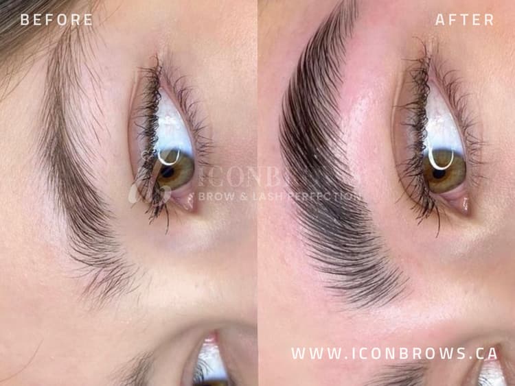 Toronto eyebrow lamination at Iconbrows.