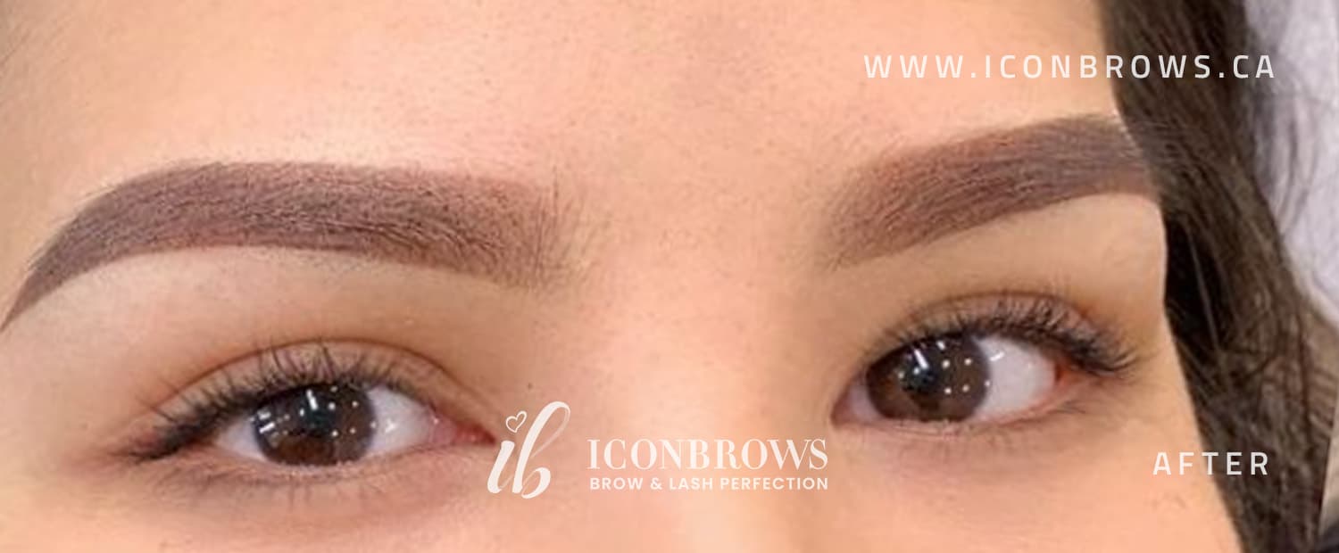 Asian eyebrows after microshading by Iconbrows Toronto.