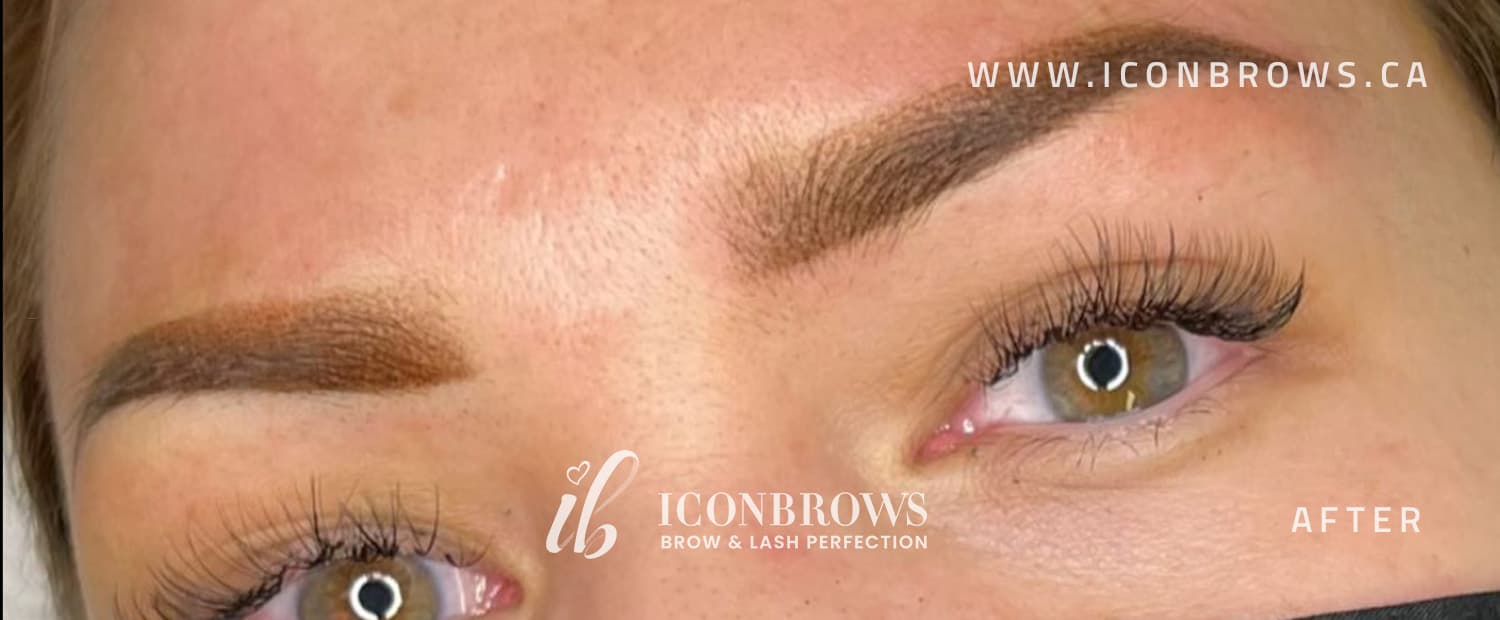 Eyebrows after ombré microshading by Iconbrows Toronto.