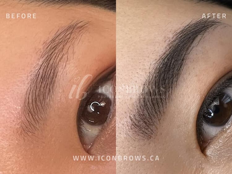 Top nano brows in Toronto by Iconbrows.