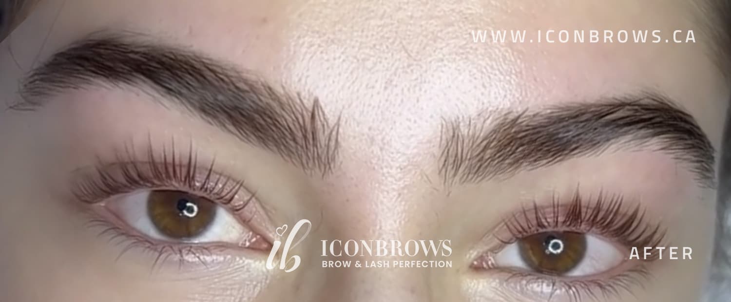 Female eyebrows after brow threading by Iconbrows in Toronto.