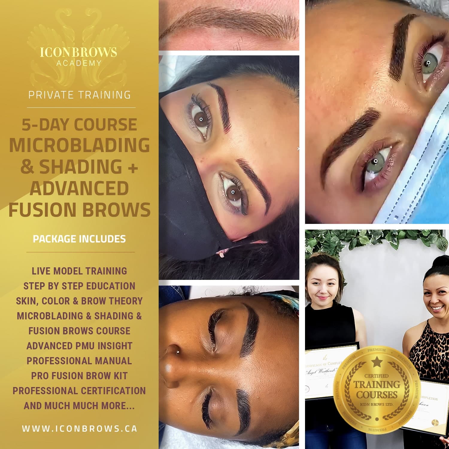 5 Day Microblading Shading Fusion Brows Training Course with Iconbrows Academy Toronto's Top Brow & Lash Training Courses