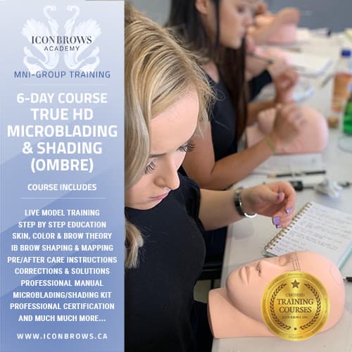 Microblading & Shading Course, Permanent Makeup Course for 6 Days in Toronto, Ontario