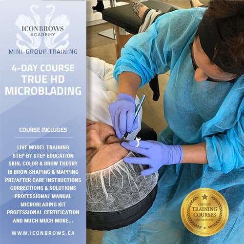Mini Group Training of Microblading Permanent Makeup course in Toronto.
