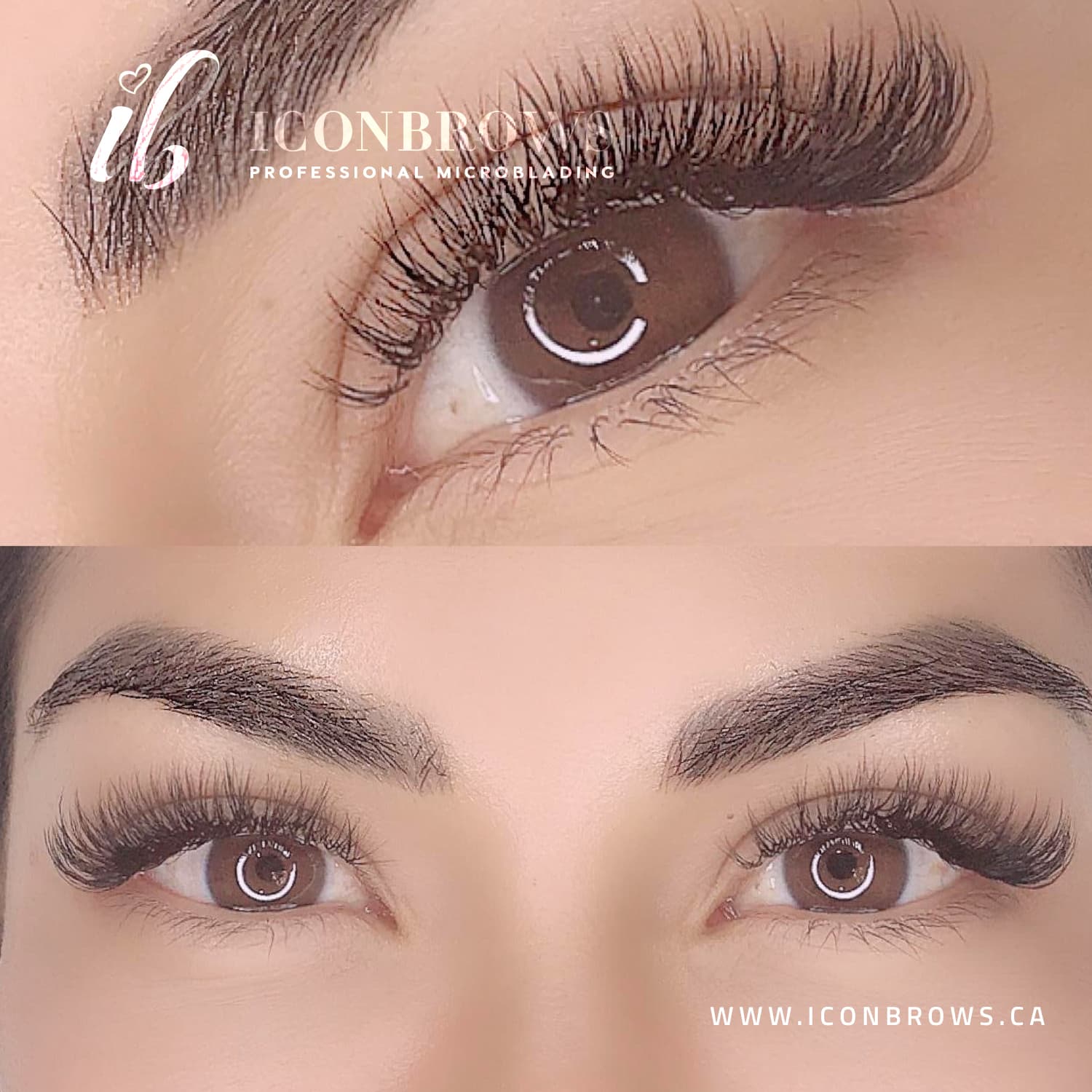 IconBrows Service Main Image Eyelash Extensions Classic Beauty Humber Bay Arch