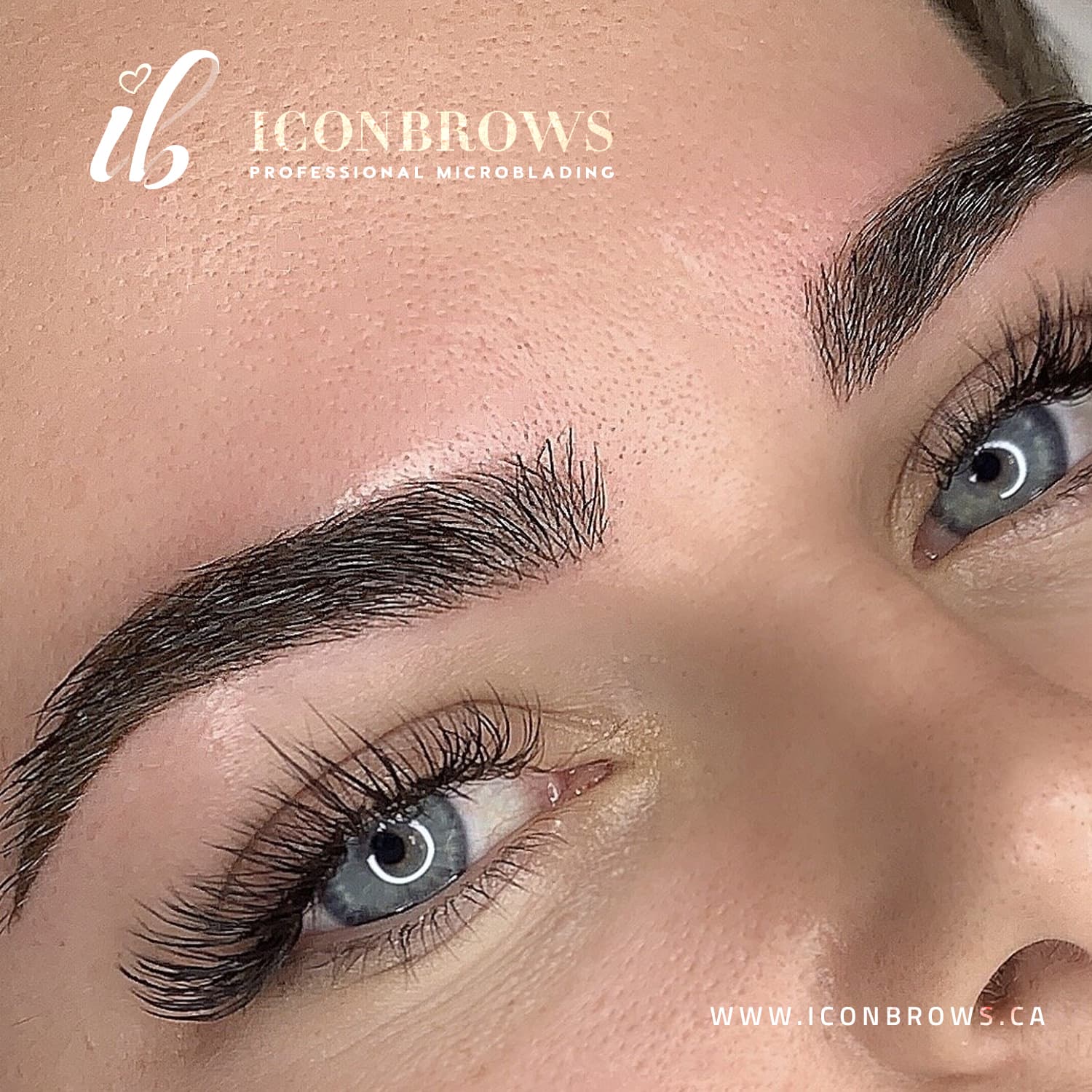 True HDi Fusion Brows Microblading and Microshading Before & After Middle Age Woman - Toronto, Etobicoke