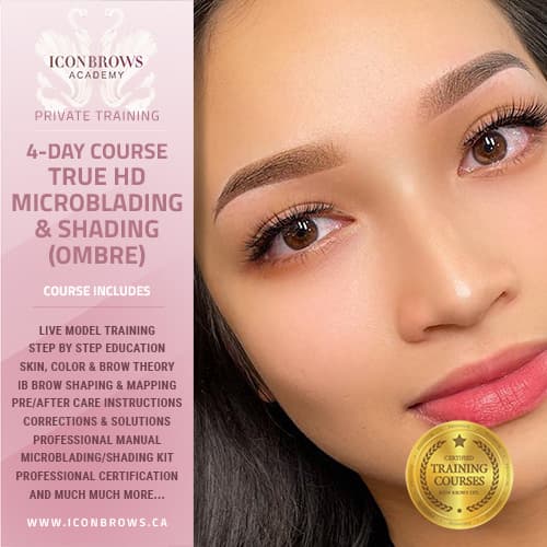 Microblading Shading Ombre Training Course with Iconbrows Academy Toronto's Top Brow & Lash Training Courses