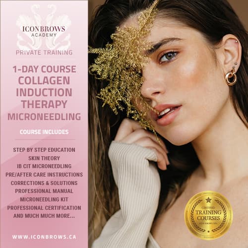 Microneedling Course 1 Day in Toronto, Ontario
