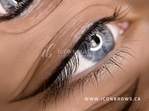 eyeliner permanent makeup toronto iconbrows brow perfection get eyeliner tattoo.