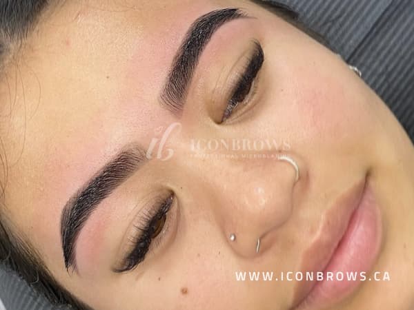 gallery brow henna toronto iconbrows brow perfection gorgeous transformation