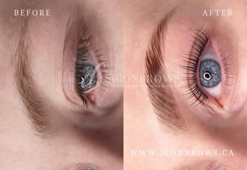 eyebrow lamination iconbrows brow perfection toronto studio gorgeus brow lam and lash lift