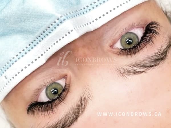 lash extensions toronto iconbrows brow perfection classic beauty on lady.