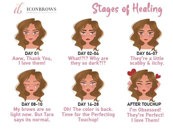 stages of healing when you are recovering from your first microblading or microshading treatment.