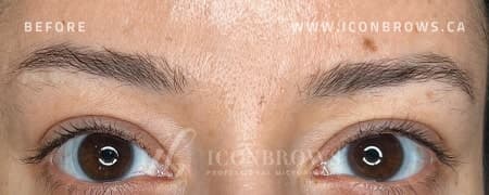 Eyebrows after being corrected with Nano Brows service in Toronto