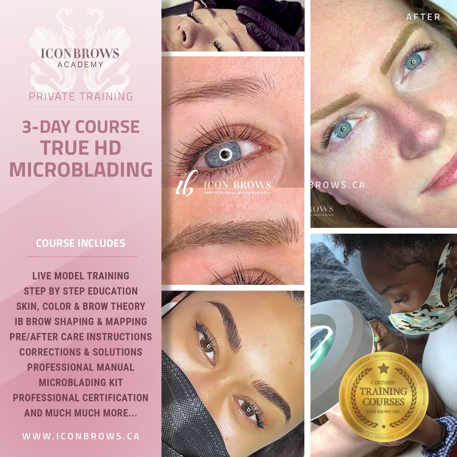 Microblading training course in Toronto.