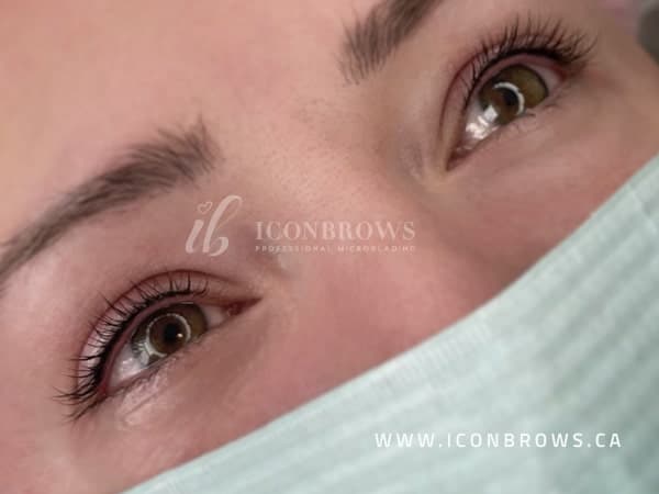 eyeliner permanent makeup toronto iconbrows brow perfection adds eyeliner definition.