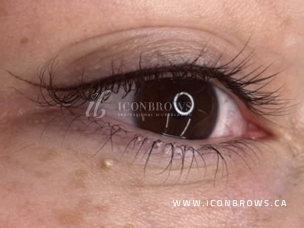 eyeliner permanent makeup toronto iconbrows brow perfection makes your eyes pop.
