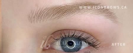 Eyebrows after nano brows by Iconbrows Toronto.