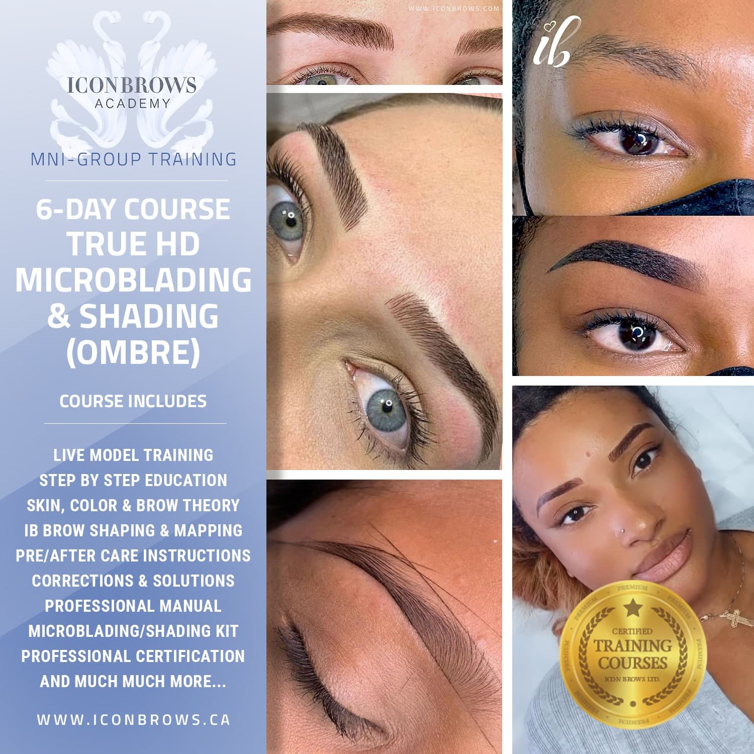 Mini Group Training of Microshading Ombre, Powder Brows & Microblading Permanent Makeup in Toronto.