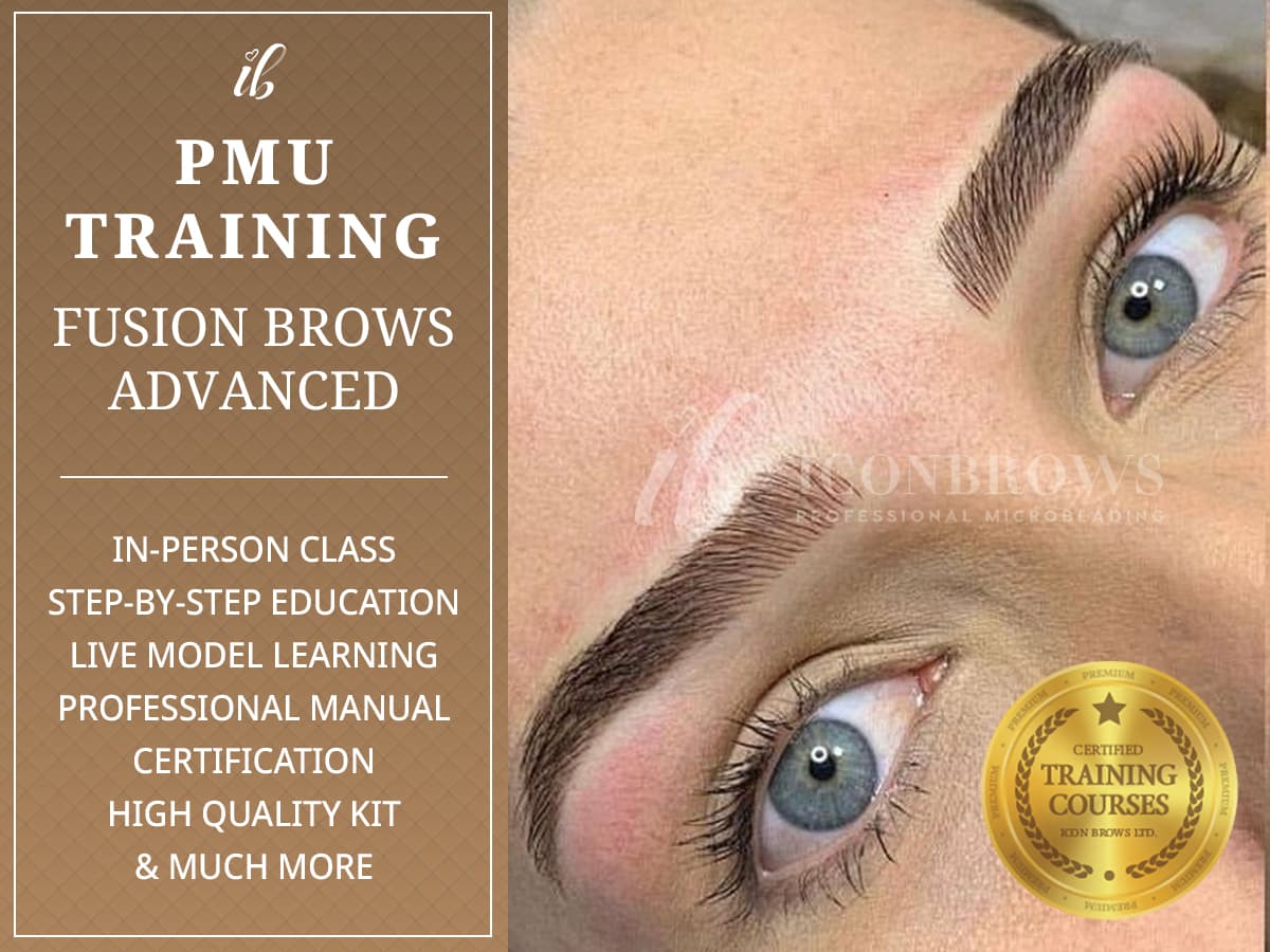 1 Day Fusion Brows Training