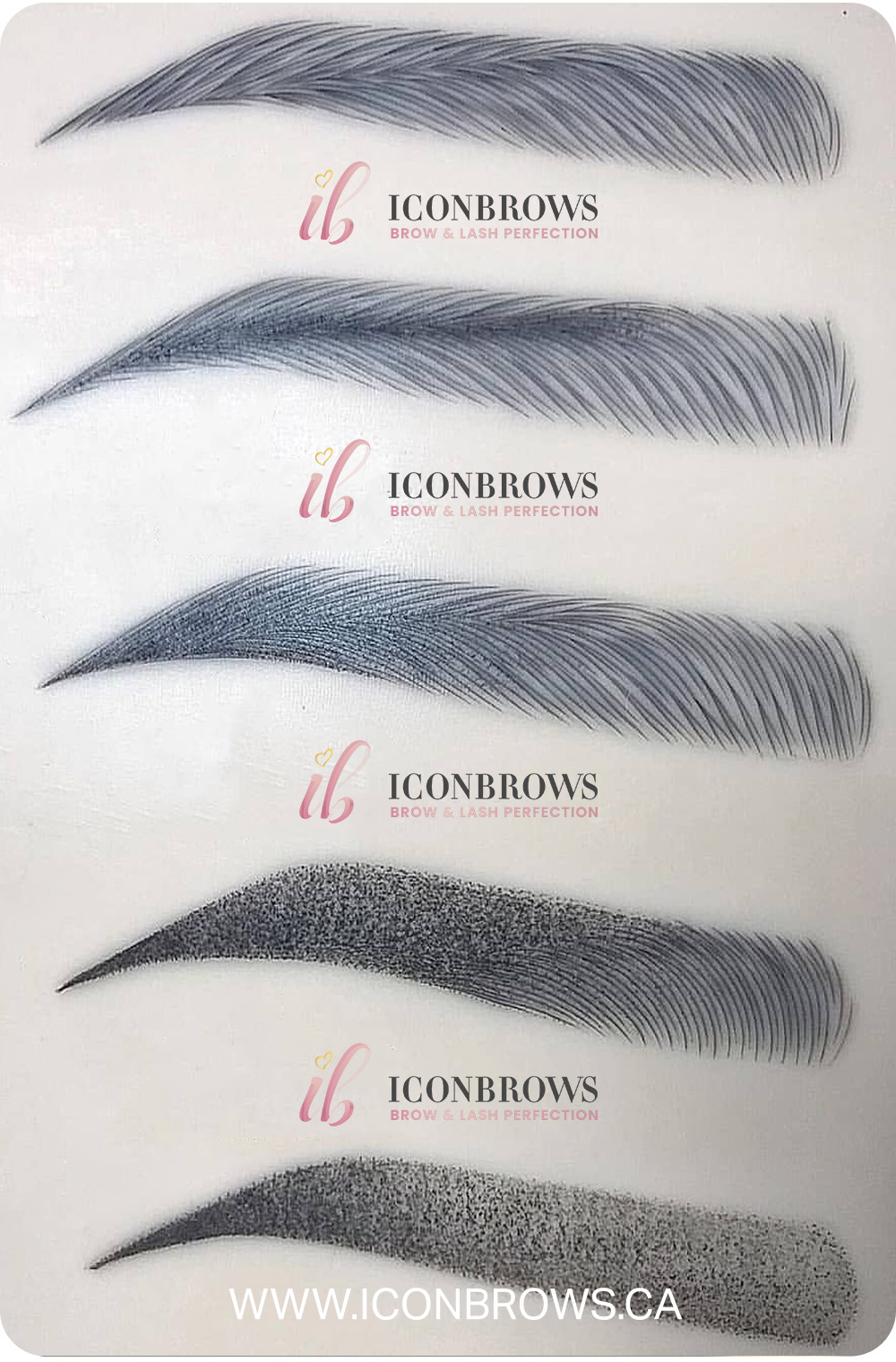 Various microblading and eyebrow PMU styles in Toronto by Iconbrows