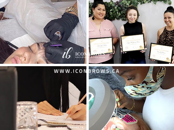 Iconbrows lash and brow training building a beauty business in Humber Bay Shores Toronto