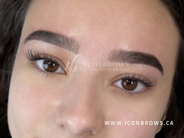 Brow henna paired with classic lash extensions by Iconbrows Toronto