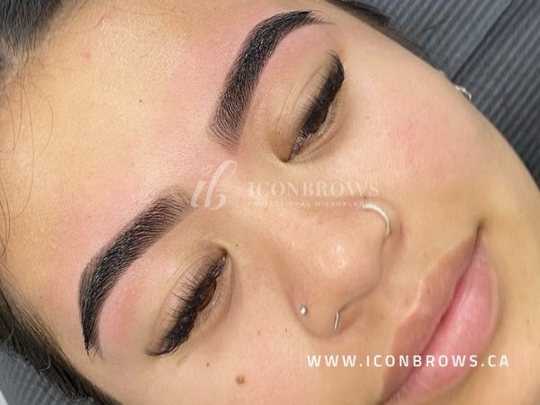 Gorgeous brow henna transformation by Iconbrows in Toronto