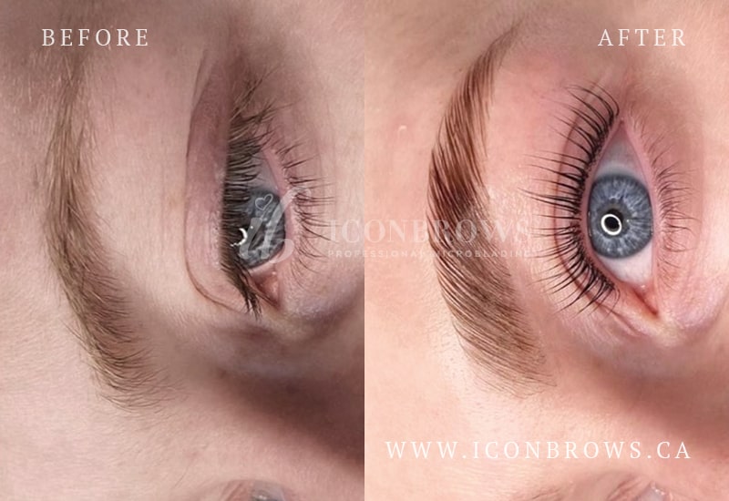 Gorgeous brow lamination and lash lift result by Iconbrows Toronto