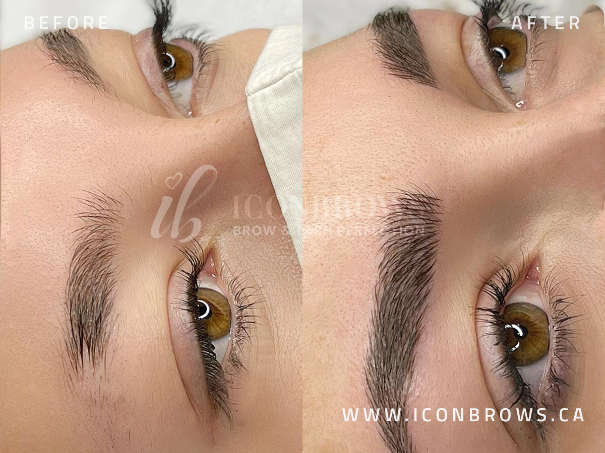 Microblading results on eyebrows by Iconbrows in Toronto