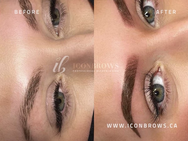 Soft ombré powder brows in Toronto by Iconbrows